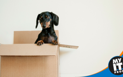 How to plan for IT when moving your San Antonio business