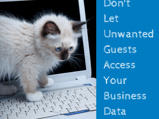 Kitten_on_a_laptop_signifying_insecure_data-660x495.png