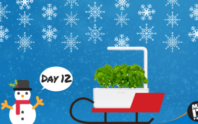 12 days of technology, Day 12: Click & Grow Smart Garden 3
