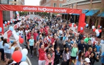 ProviDyn Raises Funds for Annual Atlanta Humane Society “Walk for the Animals”