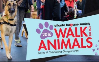 ProviDyn Takes Part in Atlanta Humane Society Annual “Walk for the Animals”
