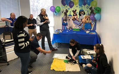 ProviDyn Treats Staff to  Atlanta Humane Society “Puppy Party”