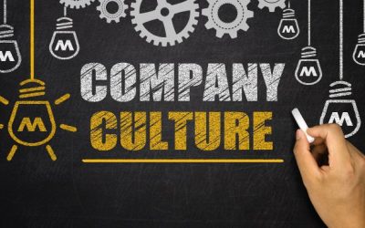 Is Your MSP a Cultural Fit? (5 Critical Factors to Consider)