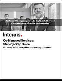A CEO’s Guide to Co-Managed Services