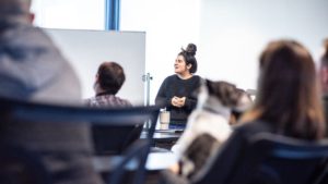 Woman presenting an IT solution to a group in a meeting room.