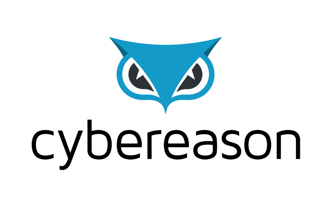 Cybereason: How to Mature as a CISO