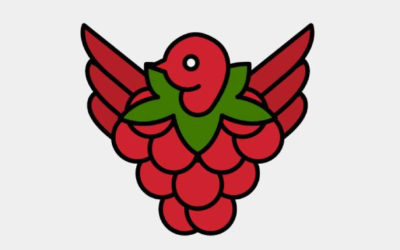 Beware Random Thumb Drives: Raspberry Robin Malware…