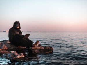 Person wearing a gorilla costume sits on rocks by the water, using a laptop, with the sun setting in the background.