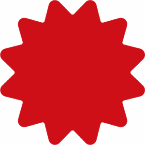 A solid red starburst shape with twelve points, representing isp services, stands out on a light gray background.