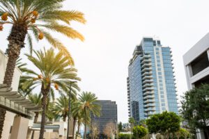 Tall modern buildings and palm trees line a city street under a bright, overcast sky, reflecting the growth of managed IT in Owings Mills MD.