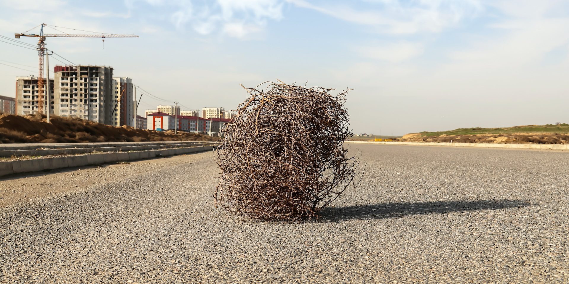 A large tumbleweed sits in the middle of an empty paved road. In the background, there are partially constructed buildings and cranes under a clear sky with some scattered clouds. The scene, much like the challenge of navigating the cybersecurity workforce shortage, appears desolate and quiet.